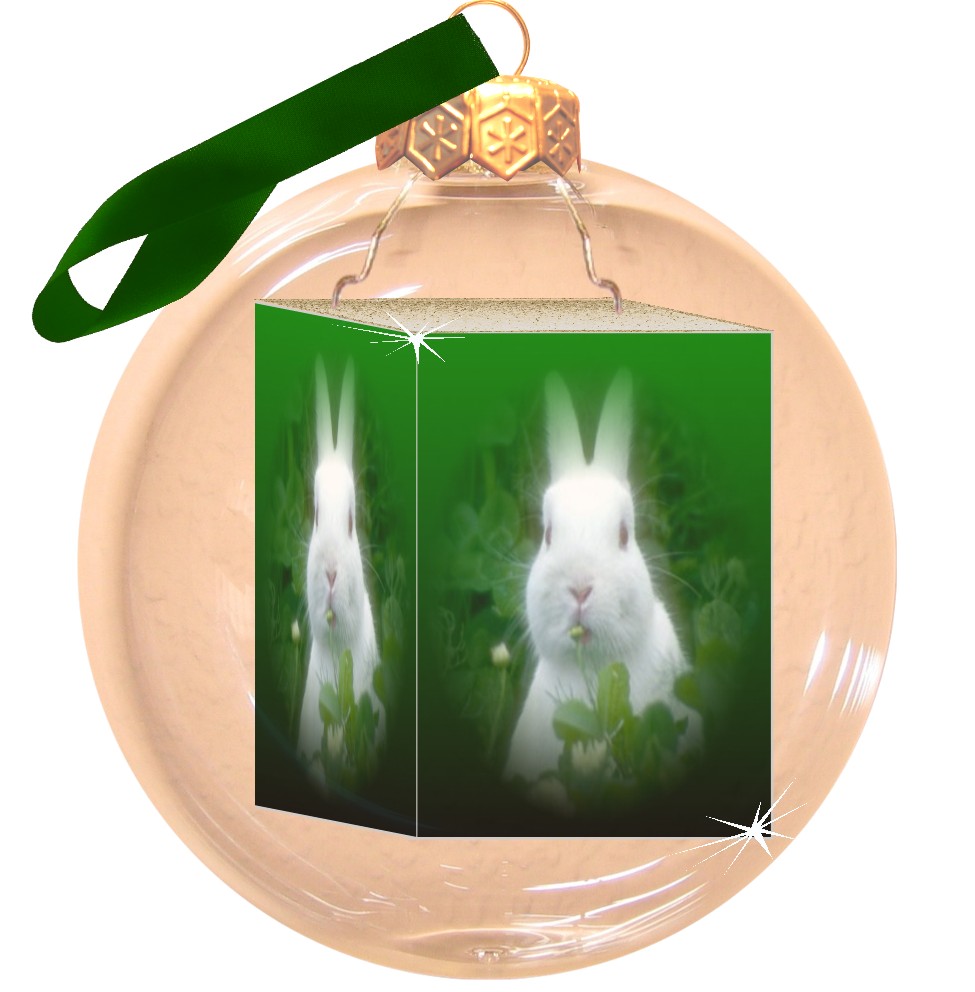 FOTOKUGEL Kaninchen